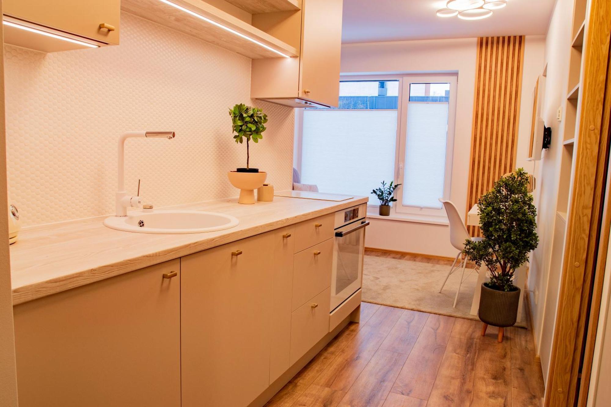 Express Premium Apartments - City Center تارتو المظهر الخارجي الصورة